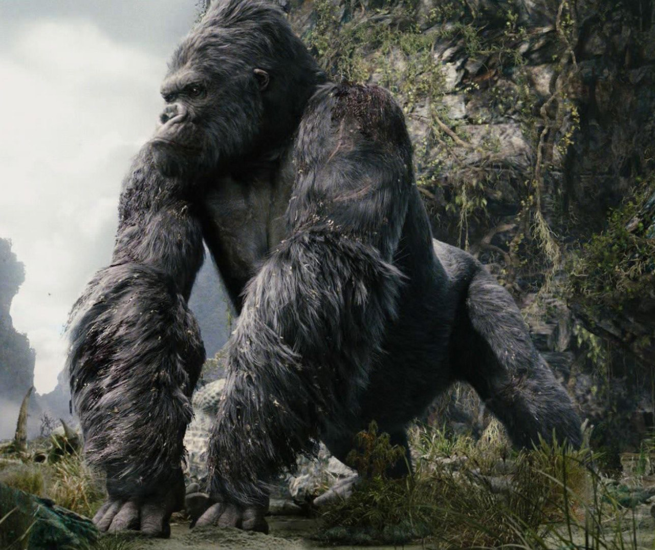 Pasted image 20241229231654.jpg